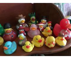 Rubber Ducky Collection
