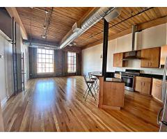 Amazing high end luxury textile mill condo