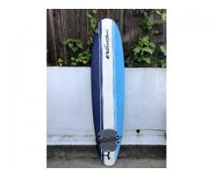 Wavestorm 8' Soft Top Surfboard