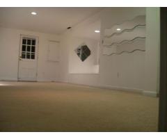 1 Bed 1 Bath Apartment in Annandale