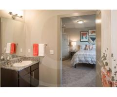 1 Bed 1 Bath Apartment in Corvallis