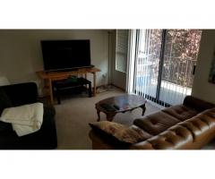 One Room Available in Quaint Ballard Apartment