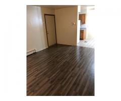 Spacious 1 bedroom for rent $950 in Riverdale