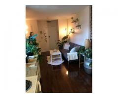 Boston 2 bed 1 bath for rent
