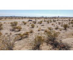 A piece of land is the only thing you can count on! Financing Avail