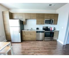 1 Bed 1 Bath Apartment in Raleigh NC