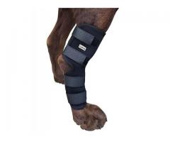 Large, Dog knee Compression