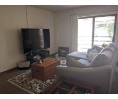 1 bedroom apartment in Madison