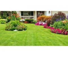 Landscaping services in Manassas