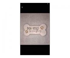 Dog Wooden Country Sign/Plaque New, “DOG KISSES FIX EVERYTHING” *Limited Time