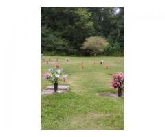 Cemetery plots double interment