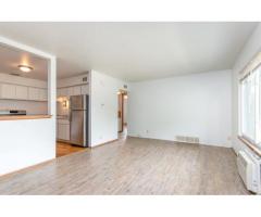 Beautiful Bayview/St Francis Apartment Avail March 1st