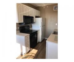 1 Bed 1 Bath Apartment in Anchorage