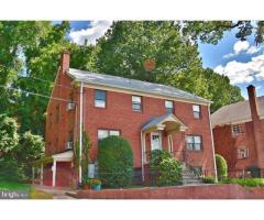 1 Bed 1 Bath Apartment in Silver Spring