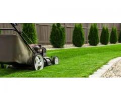 Lawn Business for Sale