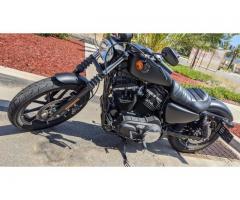 2020 Harley-Davidson Sportster 883
