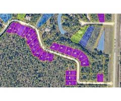 LAND FOR SALE IN FLORIDA