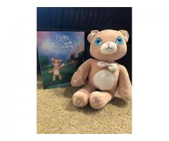 Children’s teddy bear and book used to get rid of Nuks. Smoke free, CP. west Green Bay